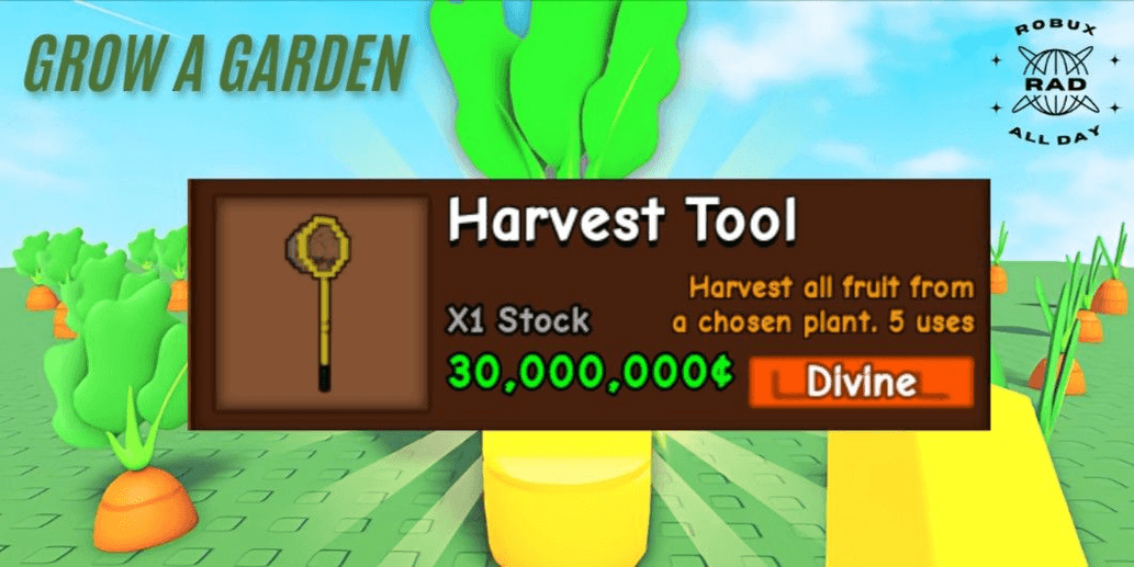 Product Showcase