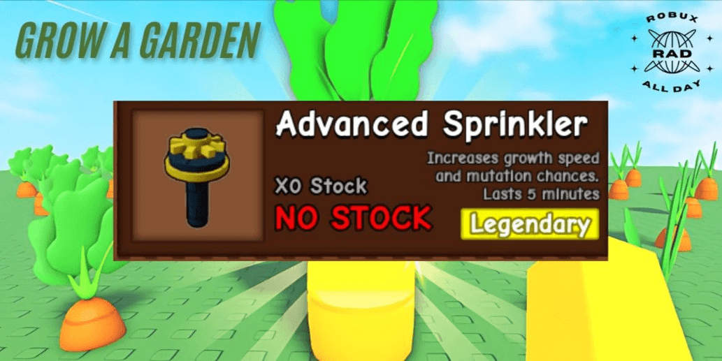 Product Showcase