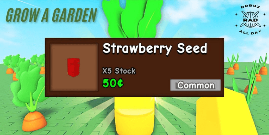 Product Showcase