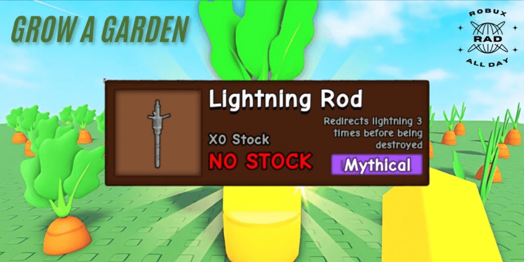 Product Showcase