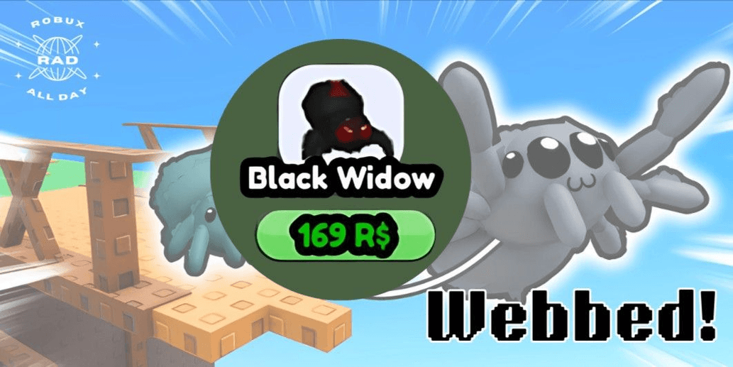 Product Showcase