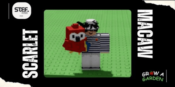 Product Showcase