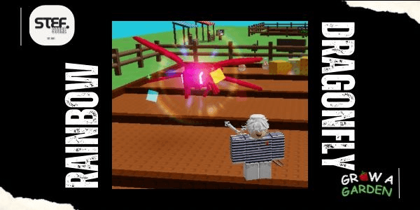 Product Showcase