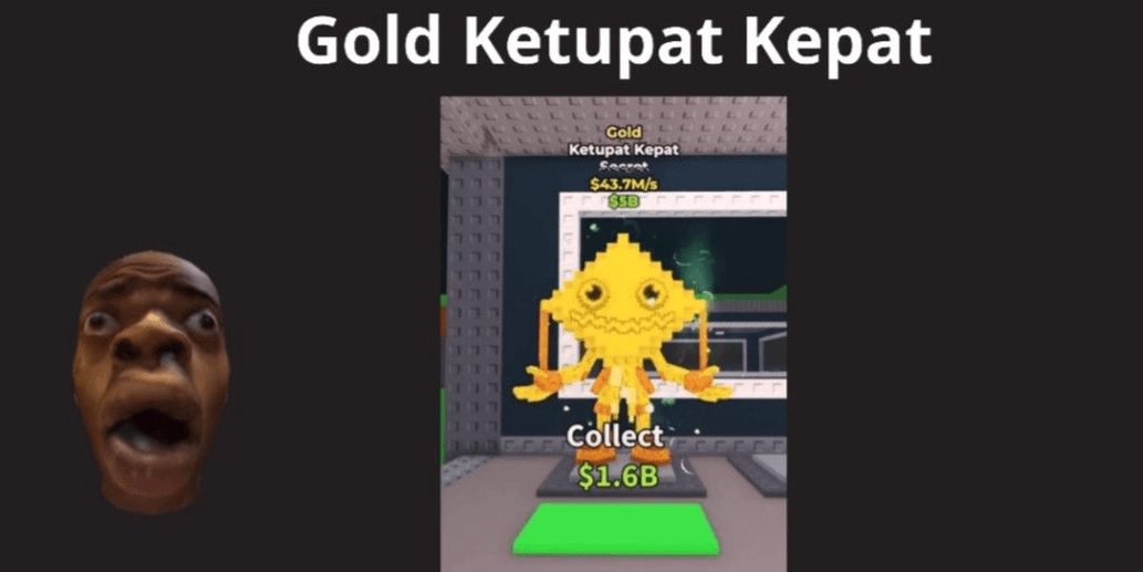 Product Showcase