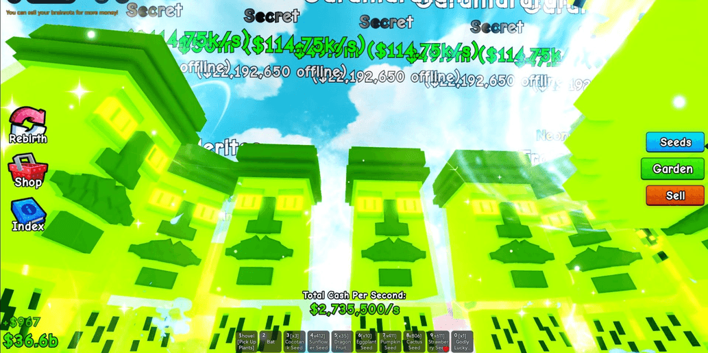 Product Showcase
