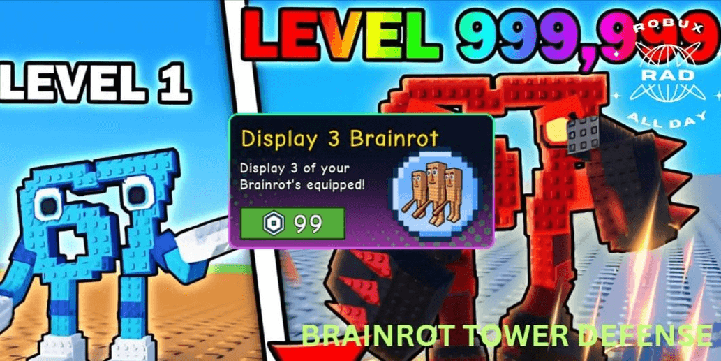 Product Showcase