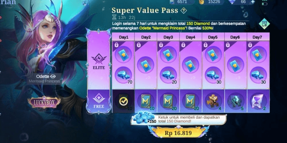 Product Showcase