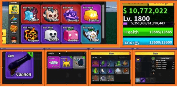 Product Showcase