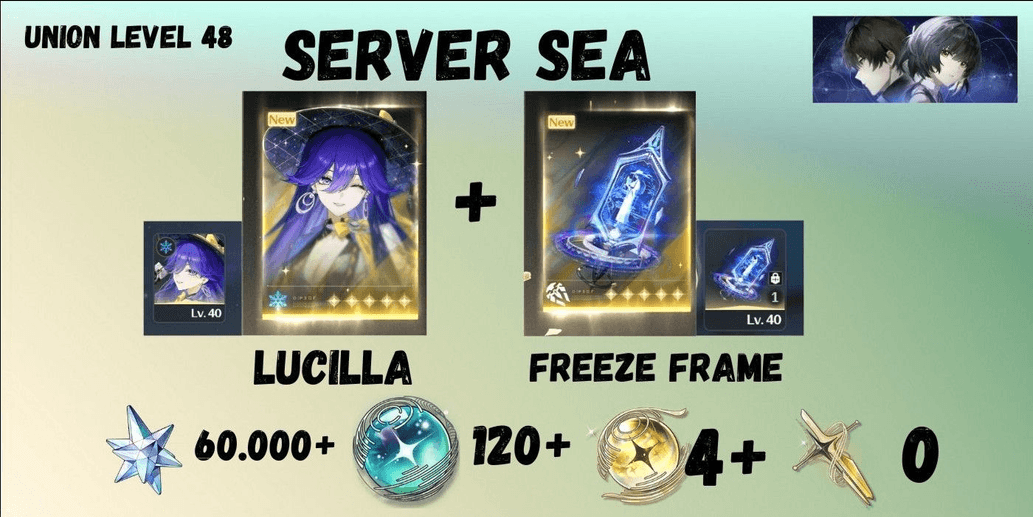 Product Showcase
