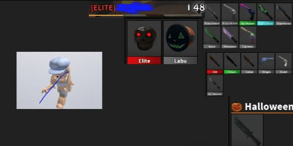 Product Showcase