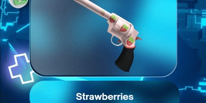 Product Showcase