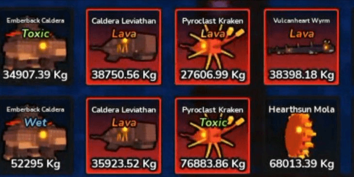 Product Showcase