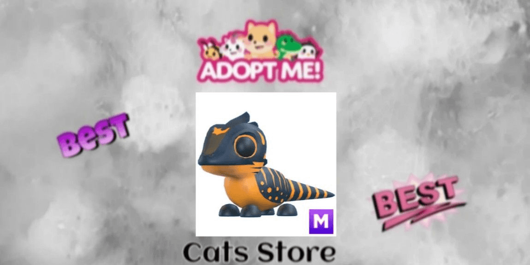 Product Showcase