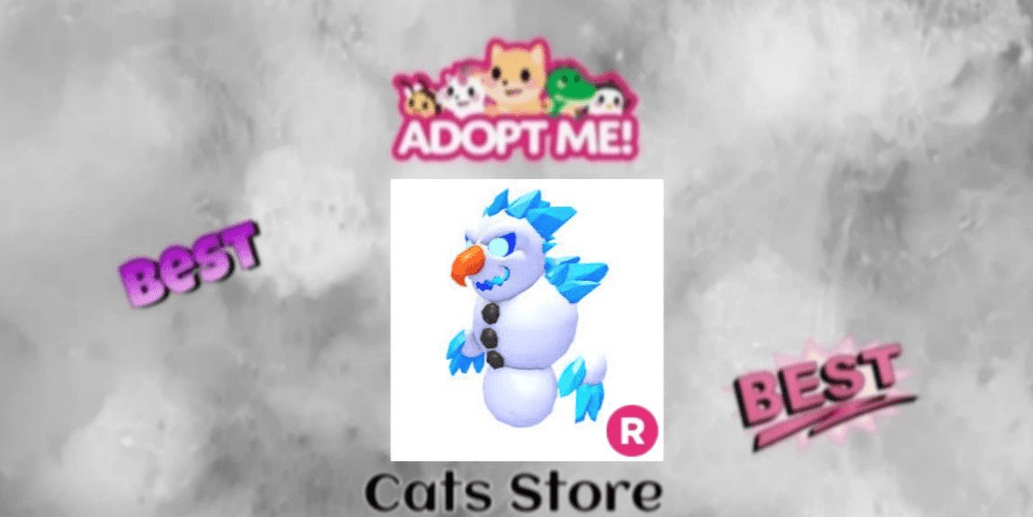 Product Showcase