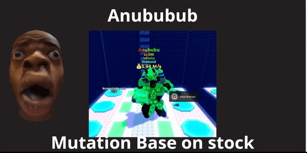 Product Showcase