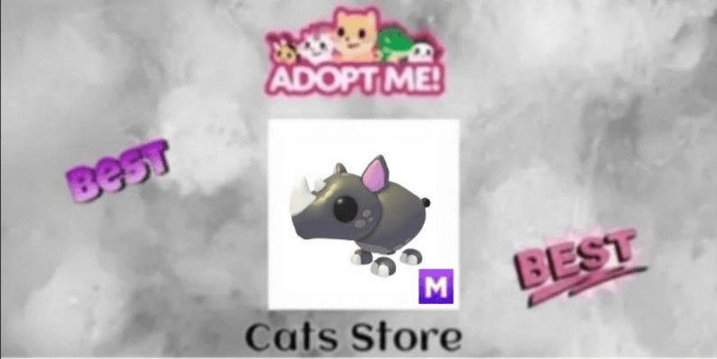 Product Showcase