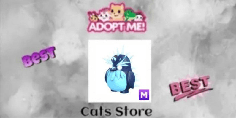 Product Showcase