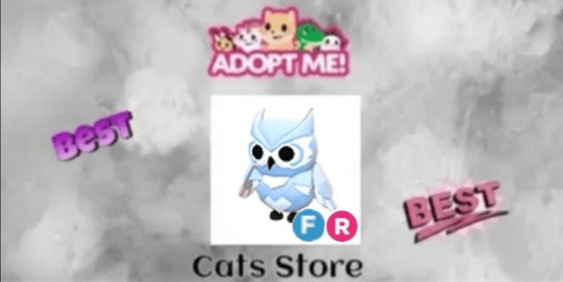 Product Showcase