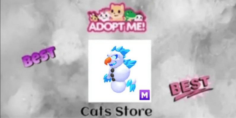 Product Showcase