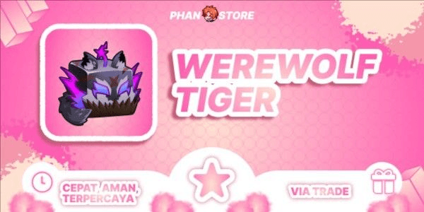 Product Showcase