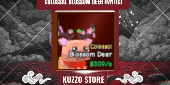 Product Showcase