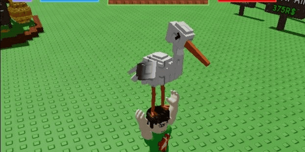 Product Showcase