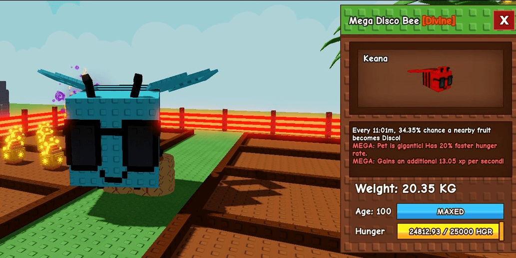 Product Showcase