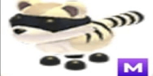 Product Showcase