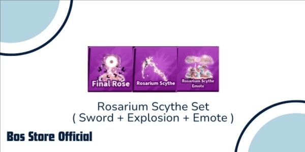 Product Showcase