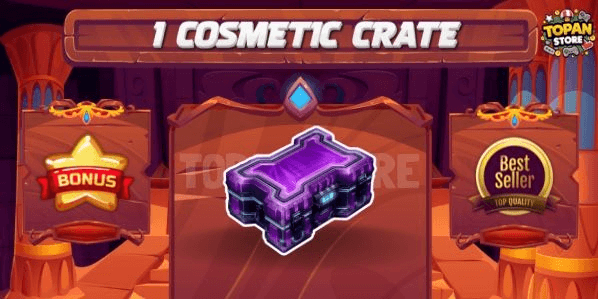 Product Showcase