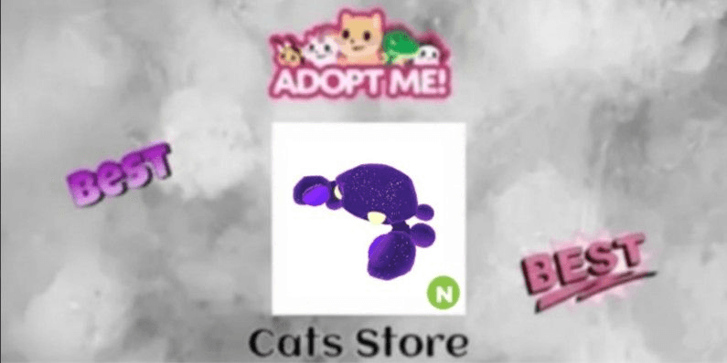 Product Showcase