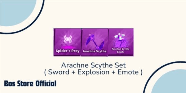 Product Showcase