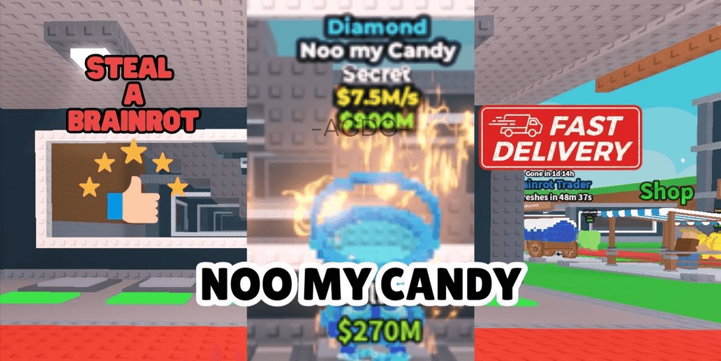 Product Showcase