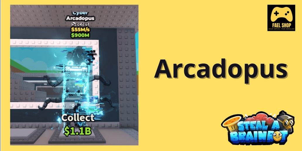 Product Showcase