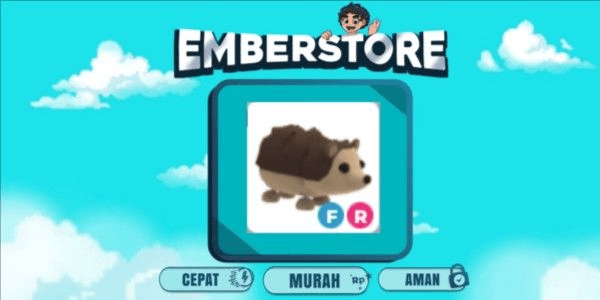 Product Showcase