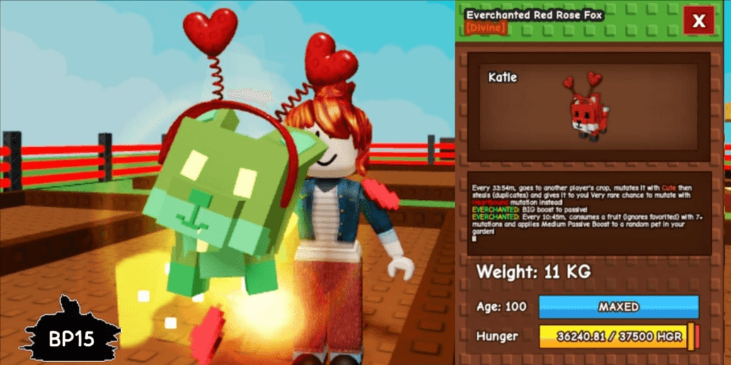 Product Showcase
