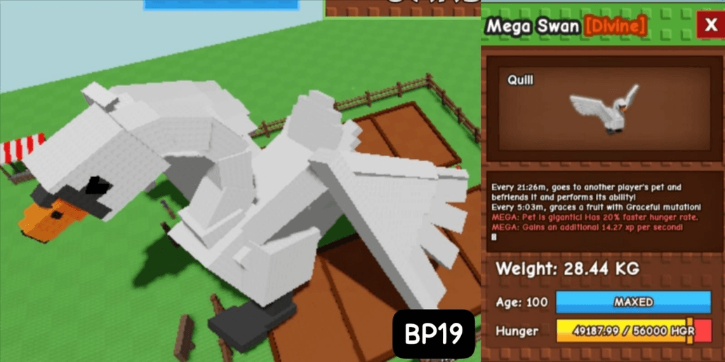 Product Showcase