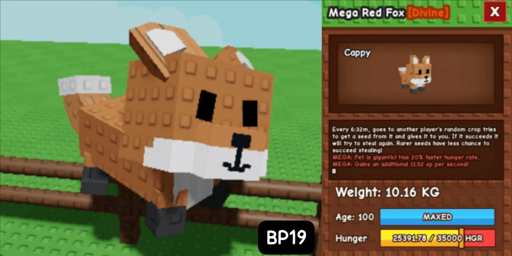 Product Showcase