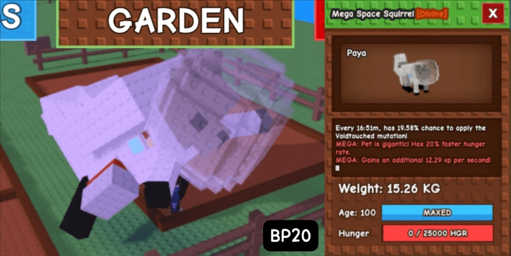 Product Showcase