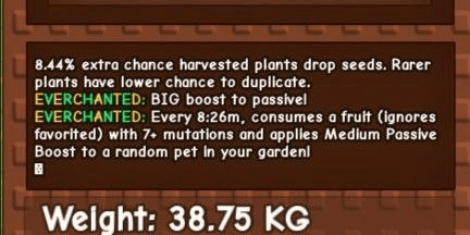 Product Showcase