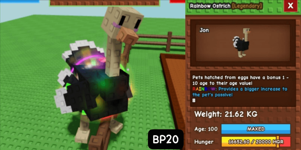 Product Showcase