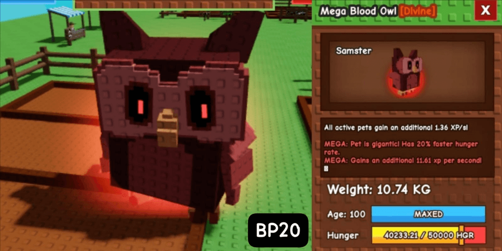 Product Showcase