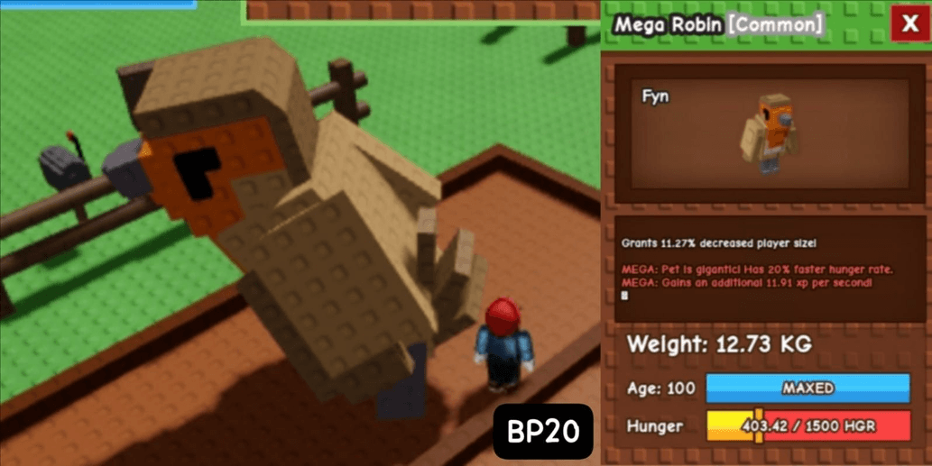 Product Showcase