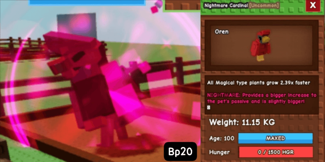 Product Showcase