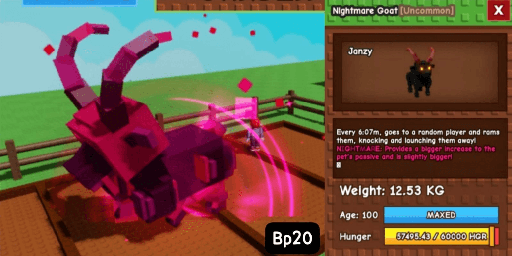 Product Showcase