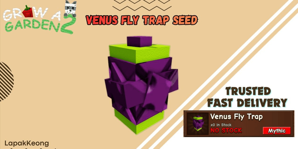 Product Showcase