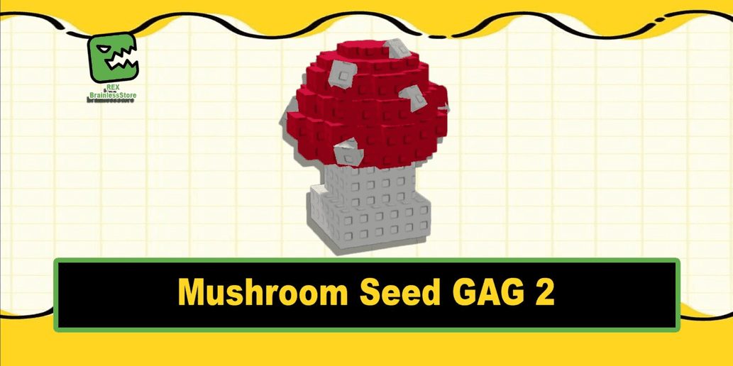 Product Showcase