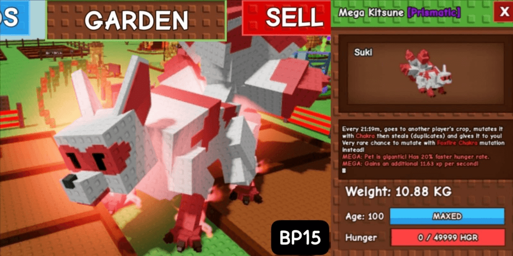 Product Showcase
