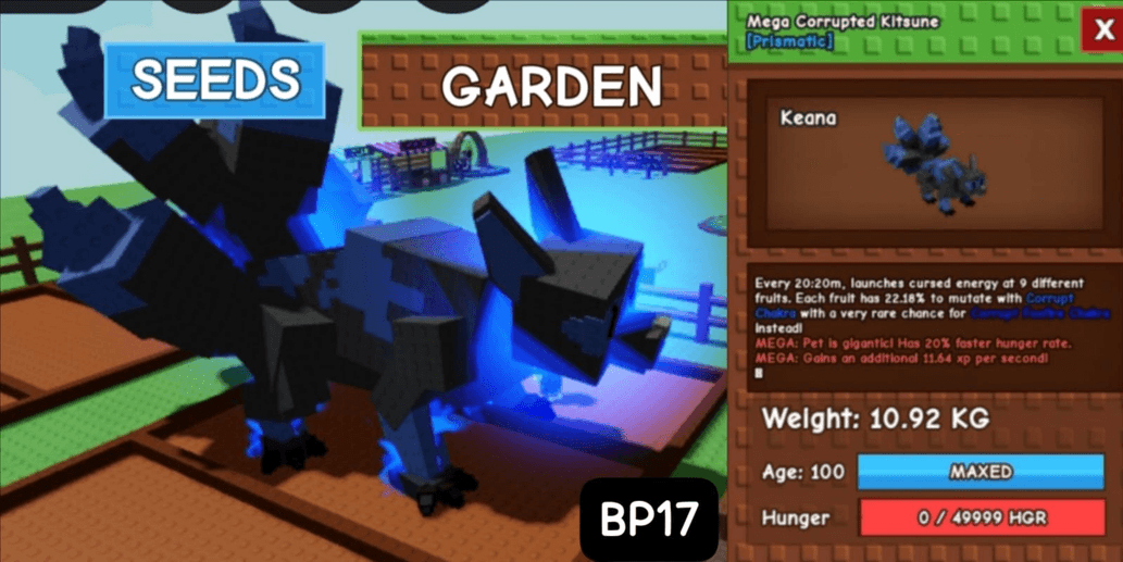 Product Showcase