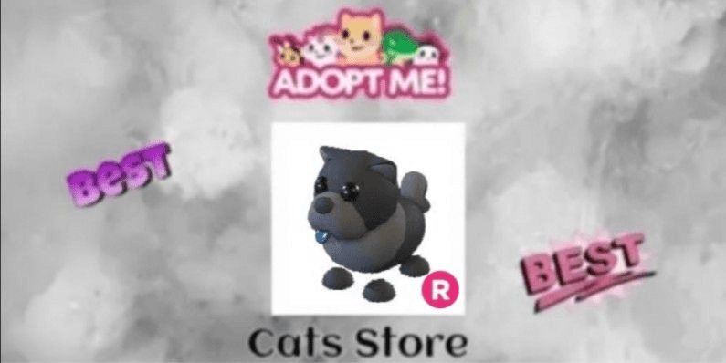Product Showcase